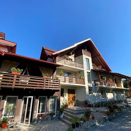 Vila Sorina Borşa Екстериор снимка