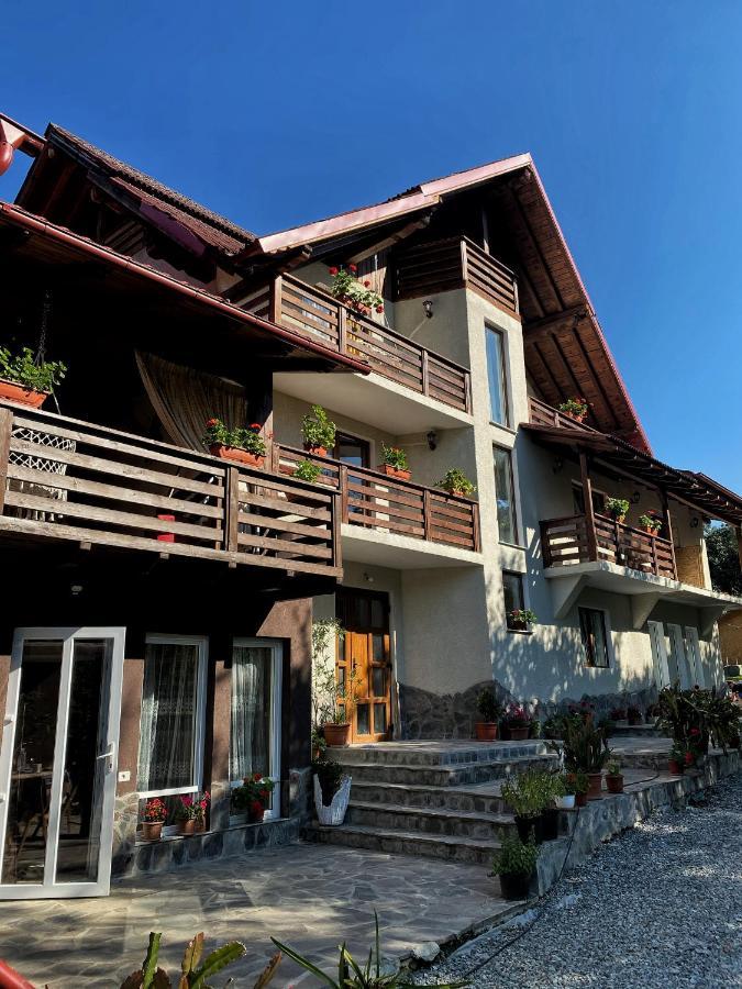 Vila Sorina Borşa Екстериор снимка