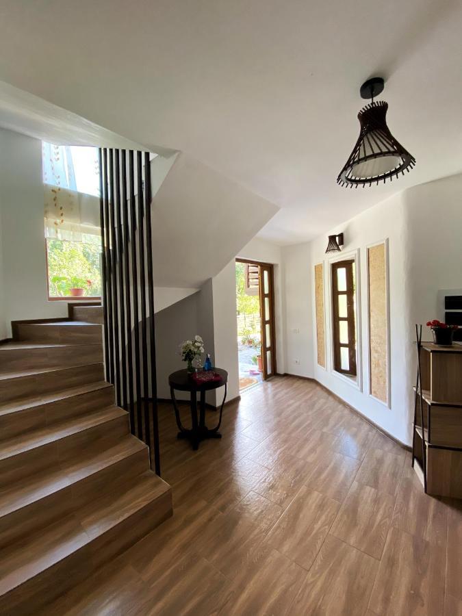 Vila Sorina Borşa Екстериор снимка