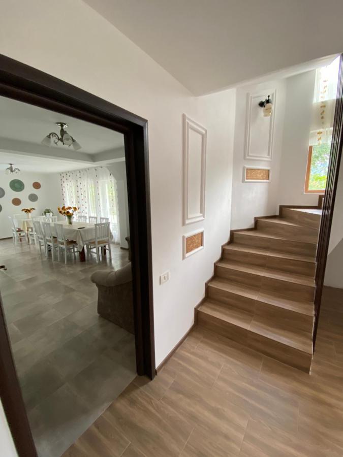 Vila Sorina Borşa Екстериор снимка