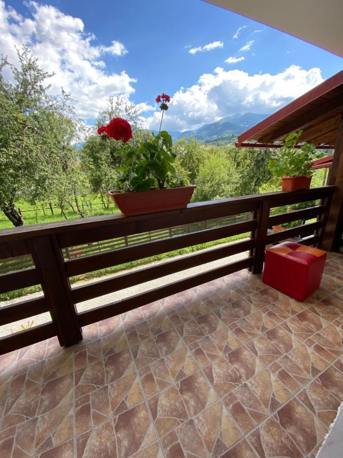 Vila Sorina Borşa Екстериор снимка