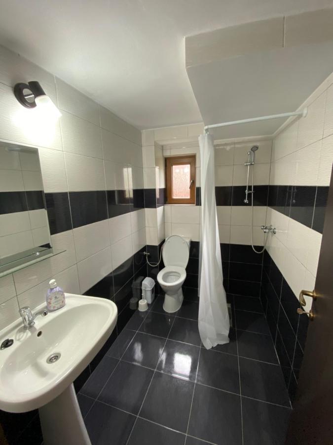 Vila Sorina Borşa Екстериор снимка