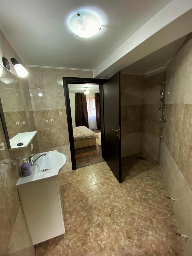 Vila Sorina Borşa Екстериор снимка