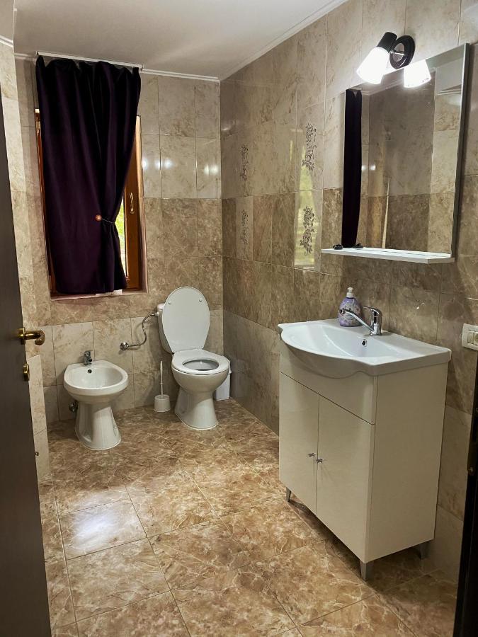 Vila Sorina Borşa Екстериор снимка