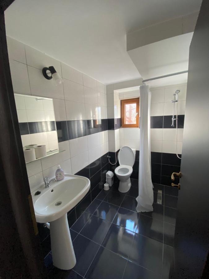 Vila Sorina Borşa Екстериор снимка