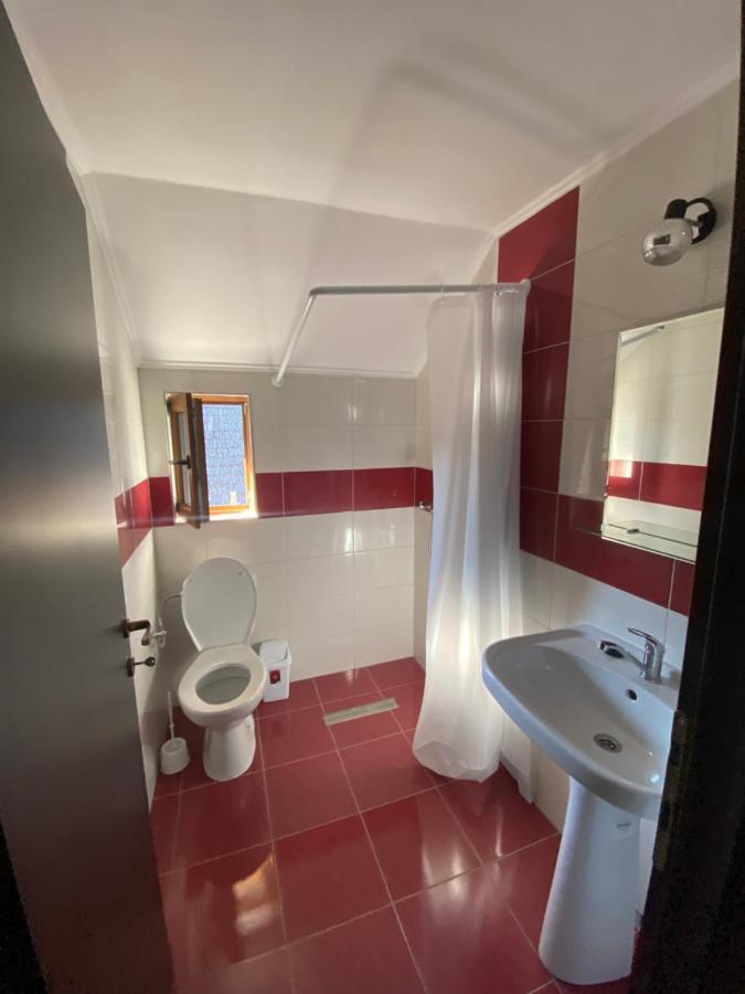 Vila Sorina Borşa Екстериор снимка