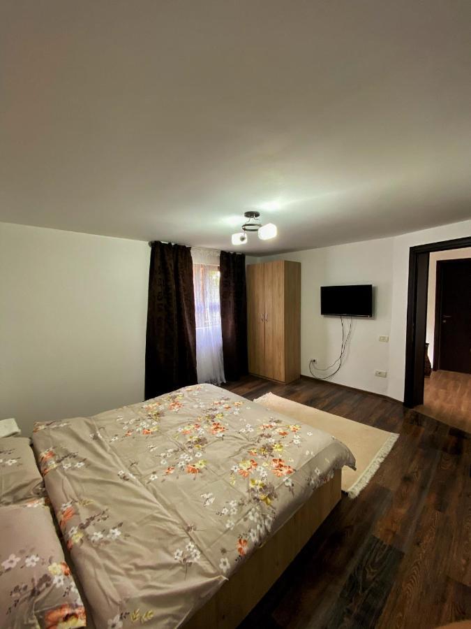 Vila Sorina Borşa Екстериор снимка