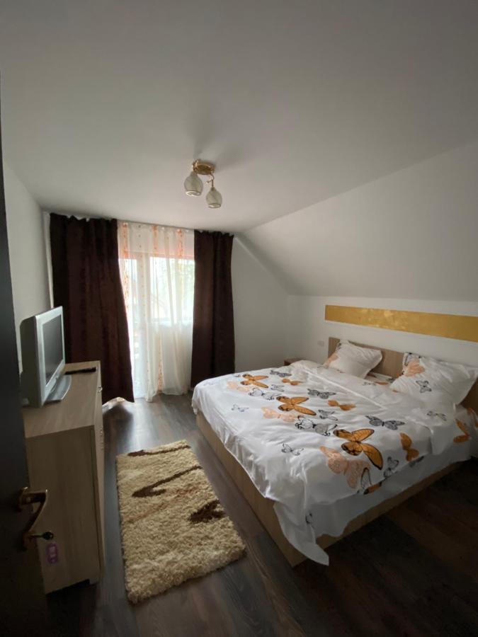 Vila Sorina Borşa Екстериор снимка