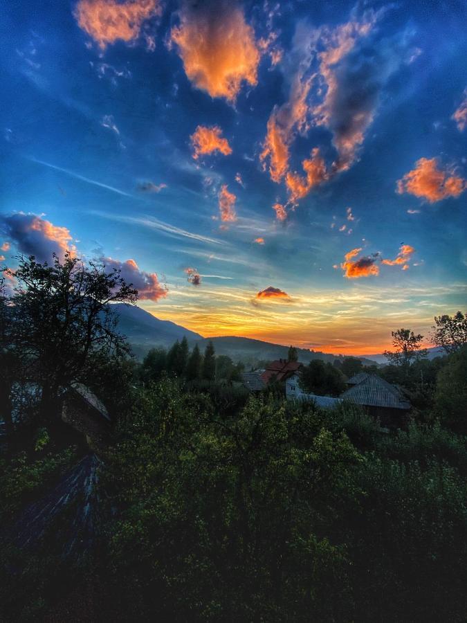 Vila Sorina Borşa Екстериор снимка