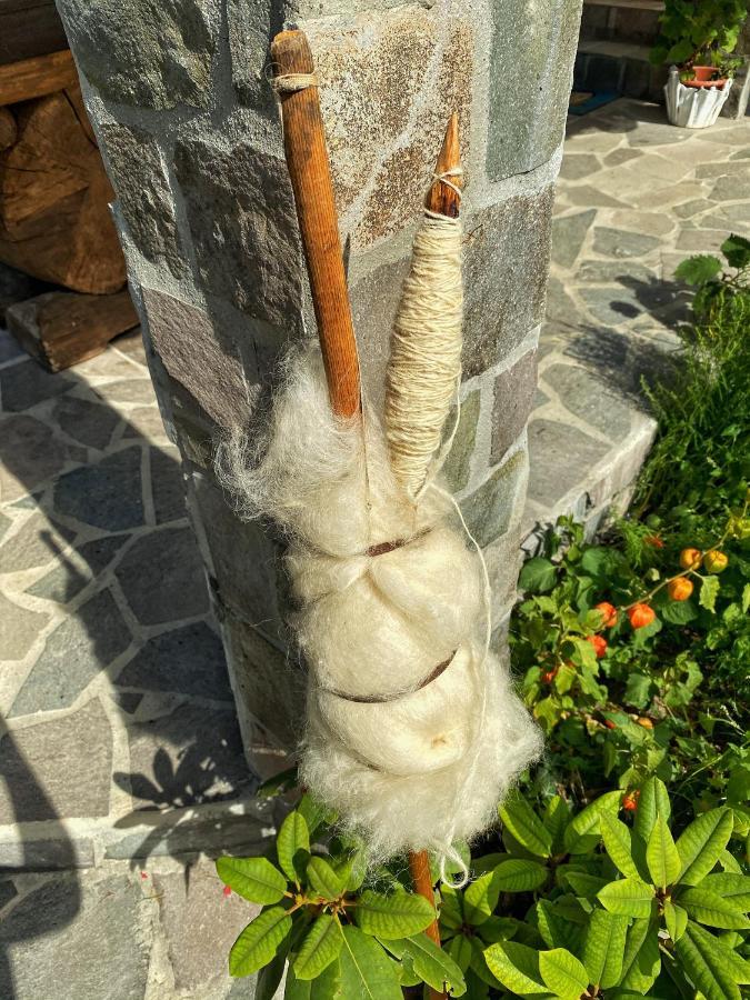 Vila Sorina Borşa Екстериор снимка