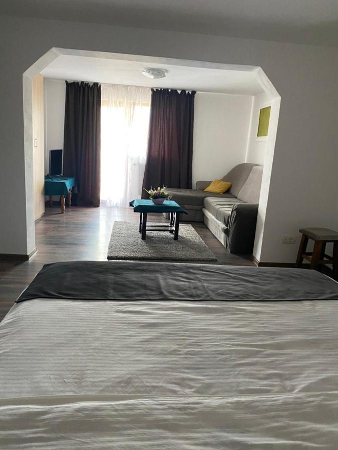 Vila Sorina Borşa Екстериор снимка