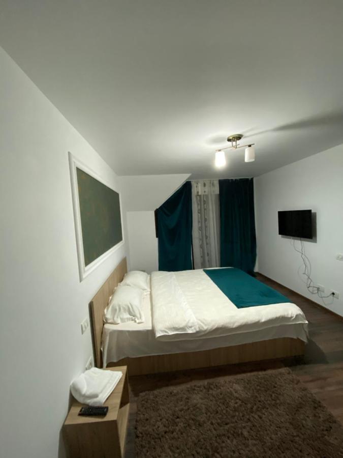 Vila Sorina Borşa Екстериор снимка