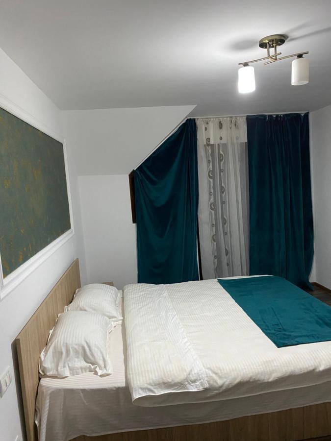 Vila Sorina Borşa Екстериор снимка