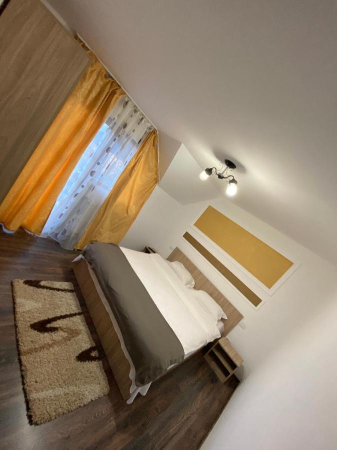 Vila Sorina Borşa Екстериор снимка