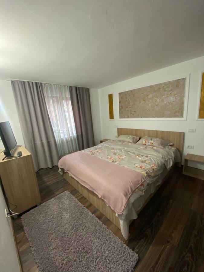 Vila Sorina Borşa Екстериор снимка