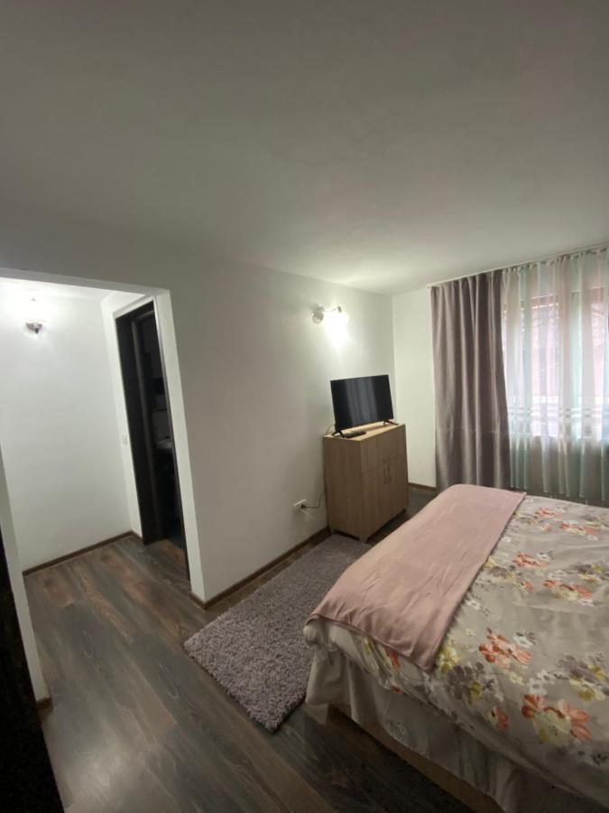 Vila Sorina Borşa Екстериор снимка