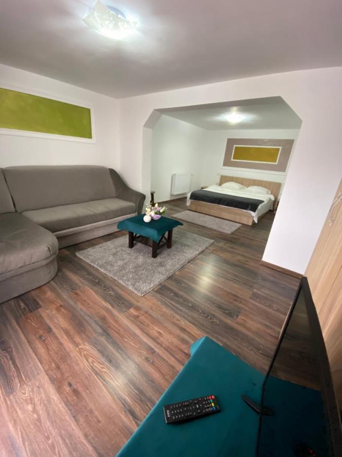Vila Sorina Borşa Екстериор снимка