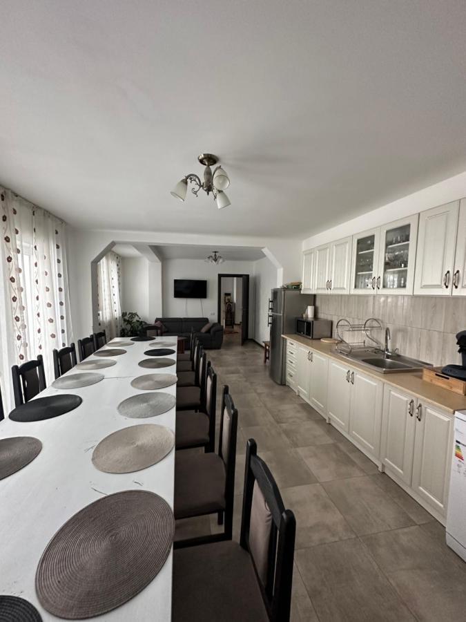 Vila Sorina Borşa Екстериор снимка