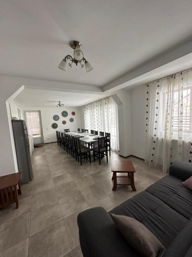 Vila Sorina Borşa Екстериор снимка