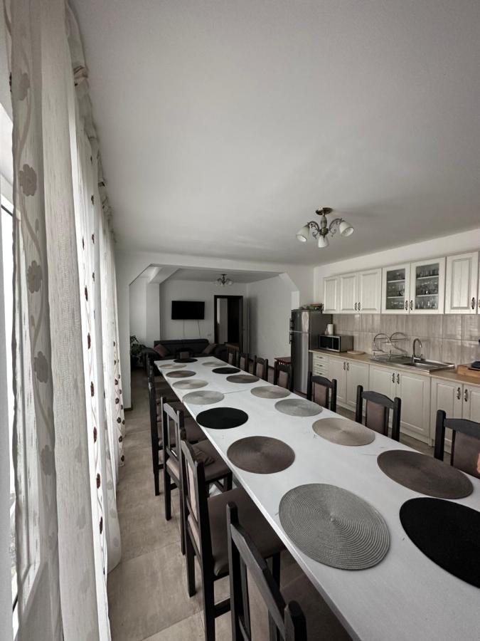Vila Sorina Borşa Екстериор снимка