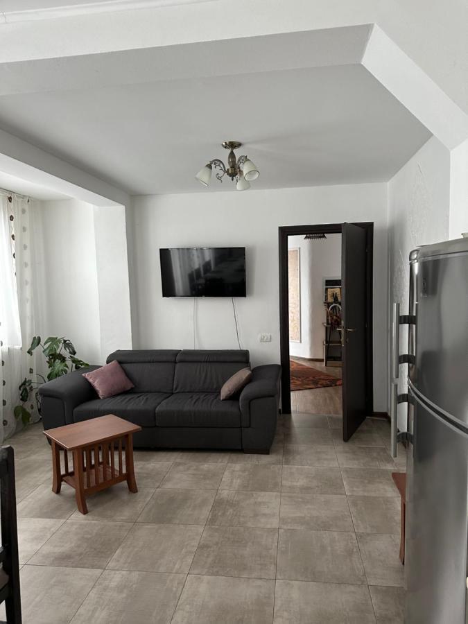 Vila Sorina Borşa Екстериор снимка